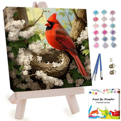 Artunion Framed Paint by Numbers Kit for Adults Beginners & Kids Ages 8-12,Northern Cardinal Paint by Number with Frame,Bird Paint by Numbers Kit on Canvas 10 * 10 Inch Without Easel - color: ZXT-399-F