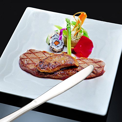 16-Piece Stainless Steel Dinner Knives Set (Pack of 2) - size: dinner knives (Pack of 2)