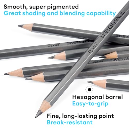 Dyvicl Professional Drawing Sketching Pencil Set - 12 Pieces Drawing Pencils 10B, 8B, 6B, 5B, 4B, 3B, 2B, B, HB, 2H, 4H, 6H Graphite Pencils for Kids, Beginners, Pro Artists
