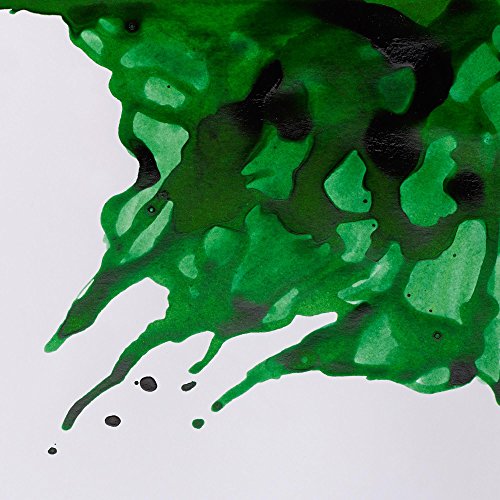 Winsor & Newton Drawing Ink, 14ml Bottle, Brilliant Green | Fast-drying, transparent & water-resistant; Outstanding Color Brilliance; Perfect for brush, dip pen, airbrush applications. - color: Brilliant Green, style: 14ml Bottle