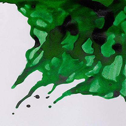 Winsor & Newton Drawing Ink, 14ml Bottle, Brilliant Green | Fast-drying, transparent & water-resistant; Outstanding Color Brilliance; Perfect for brush, dip pen, airbrush applications. - color: Brilliant Green, style: 14ml Bottle