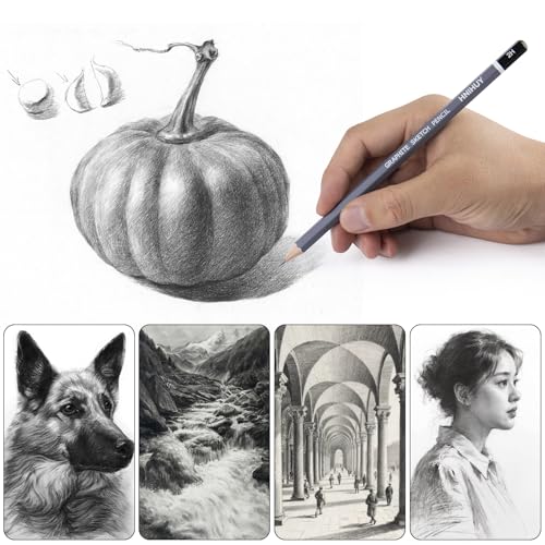 HNIHUY Sketch Drawing Pencils Set, 17 Pcs, Graphite Pencils (8B-4H) | Sketch Pencils for Drawing Art, Erasers and Sharpener, Art Drawing Pencil for Artists Beginner Sketching
