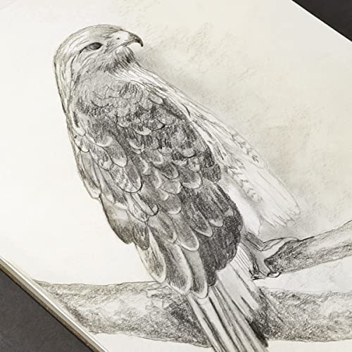 Koh-I-Noor 9" x 12" Bristol Vellum Bright White Paper Pad with In and Out Pages, 270 GSM, Side Wire-Bound, 20 Sheets per Pad (26170401013) - color: Vellum Bright White, size: 9 x 12 Inches