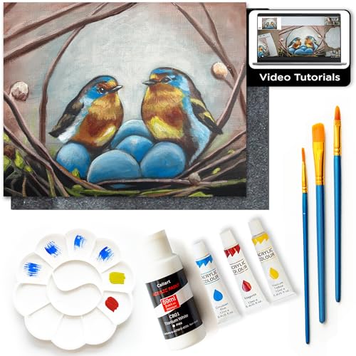 DIY Painting Class Kits for Adults with Video Tutorials, Learn to Paint Nesting Birds, How to Paint with Acrylic Paint Sets for Adult, 9 Peices Art Set & Painting Supplies Gifts for Mom - color: Nesting Birds