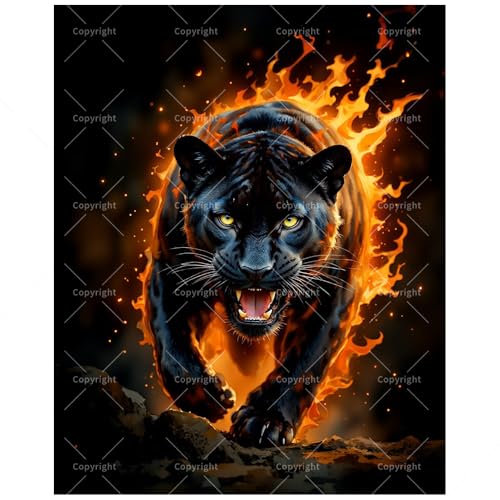 TAOPAOLAB Black Panther Paint by Numbers Kit for Adults - DIY Running Flaming Panther Painting on Canvas 12x16In, Framed Acrylic Paint Set for Beginners, Fire Art for Home Decoration or Gifts - color: FM05536, size: 12×16in Framed