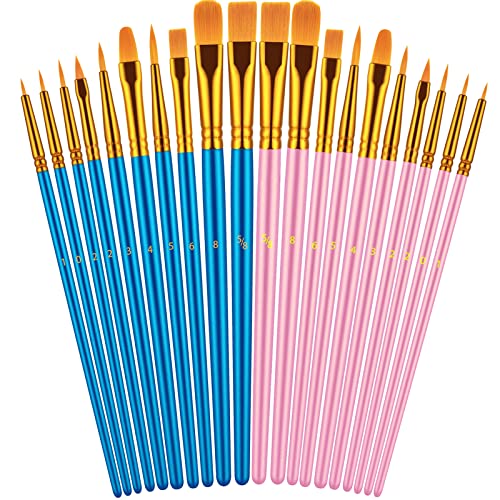 Artstorys Paint Brushes Set, 20 Pcs Acrylic Oil Watercolor Painting Brushes | Artist Paintbrush (Nylon Hair Wood Handles) for Adult Drawing, Great for Face, Rock & Canvas, Arts Craft Supplies, Blue+Pink - color: Blue,pink