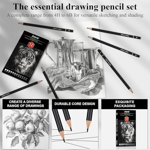 Aenir Drawing Pencils for Sketching, Set of 12 Sketch Pencils, 6B-4H | Art Supplies for Beginners & Artists: Art Pencils for Sketching Projects, Graphite Pencils for Drawing and Shading - size: 1 Count (Pack of 12)