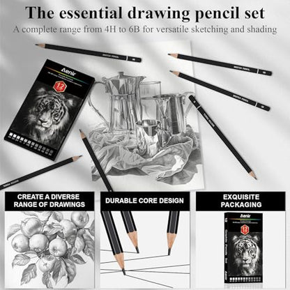 Aenir Drawing Pencils for Sketching, Set of 12 Sketch Pencils, 6B-4H | Art Supplies for Beginners & Artists: Art Pencils for Sketching Projects, Graphite Pencils for Drawing and Shading - size: 1 Count (Pack of 12)