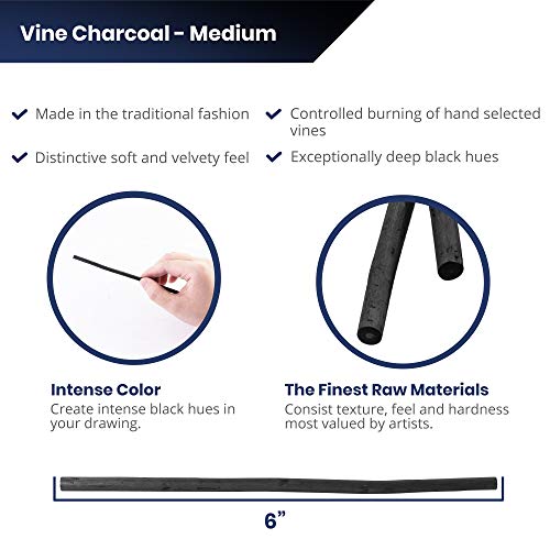 Pacific Arc Artist Vine Charcoal, Medium, Black 4 Charcoal Sticks for Drawing, Sketching, and Fine Art - style: Medium | 4 Sticks