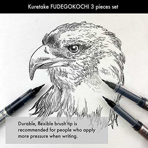 Kuretake Zig Inktober pen set, for Illustration, Manga Drawing, Lettering and Calligraphy, Professional Artist, Made in Japan (FUDEGOKOCHI(3pcs.)) - style: FUDEGOKOCHI(3pcs.)