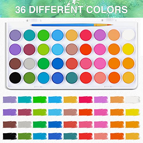 AROIC 65 Pieces Watercolor Paint Set for Adults Artists, Beginners - color: 36 watercolor paint set