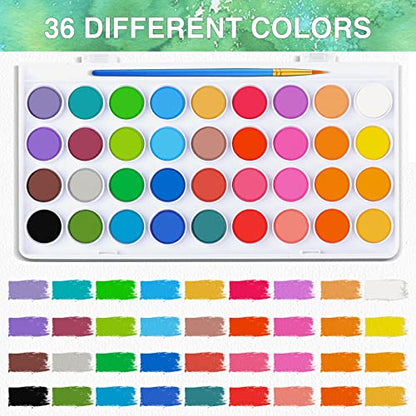 AROIC 65 Pieces Watercolor Paint Set for Adults Artists, Beginners - color: 36 watercolor paint set