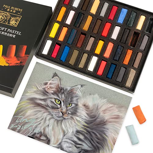 Paul Rubens Professional Soft Pastels, 40 Portrait Colors Chalk Pastels Vibrant Smooth and High Adhesion for Painting, Drawing, Blending, Crafting, Ideal Art Supplies for Artists, Beginners | Vibrant, Smooth & High Adhesion Soft Pastels for Artists. Great