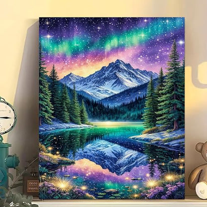 Arttoplus Starry Night Paint by Numbers Kit for Adults Beginner 16x20 inch - color: MT22611-US