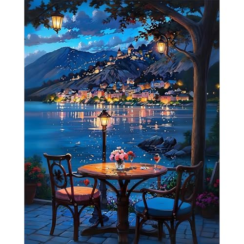 Paint by Numbers Kit for Adults, Night DIY Acrylic Painting Kit, 16x20 Inch - color: CYOP1P06