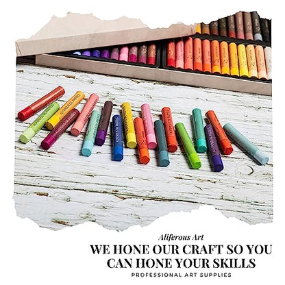 Oil Pastels - 48 Colors soft pastels for artists - oil pastel set - pastels art set - portfolio oil pastels professional - pastels art supplies for kids - pastel kit - style: Use by Professional