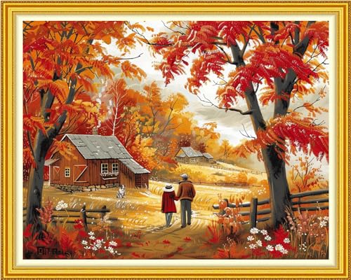 Funchey Stamped Cross Stitch Kits, DIY Cross Stitch Pattern for Adults Beginners Needlepoint Kits Embroidery Kit Arts and Crafts 11CT-Autumn Outing for Couples 16x20 inch - color: Handicraft patterns15
