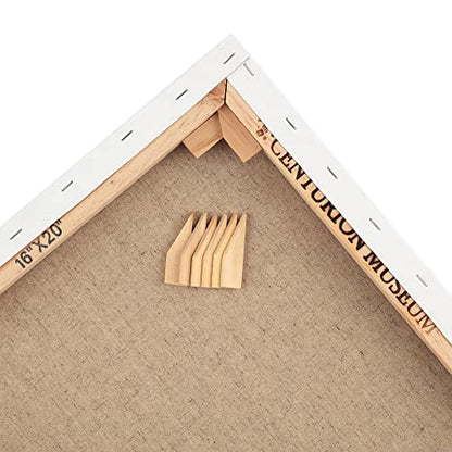 Centurion Deluxe Pre-Primed Linen Canvases, 1.5" Deep - 11"x14", 3 Pack | Professional Acrylic Primed Pre-Stretched Canvases, 11oz Linen - Kiln-Dried Stretchers, Back Stapled, Museum Archival Quality - size: 11"x14"