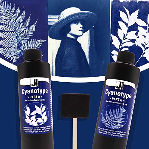 Jacquard Cyanotype Kit Sun Printing for Paper & Fabric Bundled Sponge Brush | 2 part Jacquard cyanotype Sun print chemistry, makes 65+ prints, works on cotton, silk, canvas, wood, leather & paper