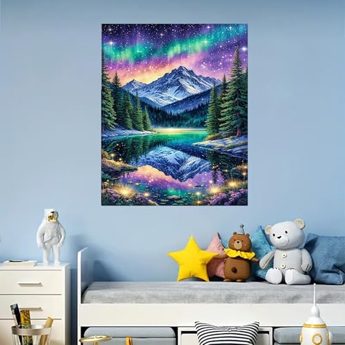 Arttoplus Starry Night Paint by Numbers Kit for Adults Beginner 16x20 inch - color: MT22611-US