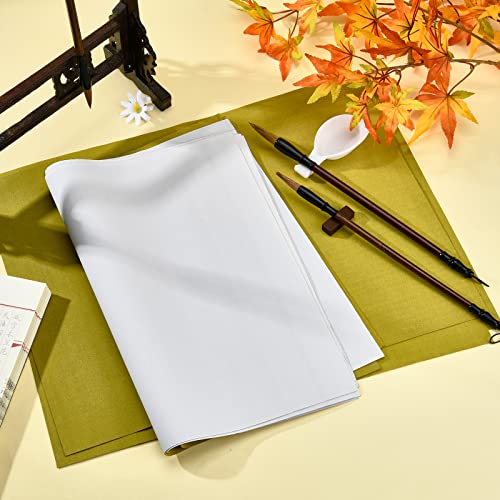 PH PandaHall 14pcs No Ink Chinese Calligraphy Set, Reusable Water Writing Cloth Paper, Chinese Traditional Calligraphy Brushes and Water Dish for Beginners Practice Chinese New Year, 17x13 Inch - color: White