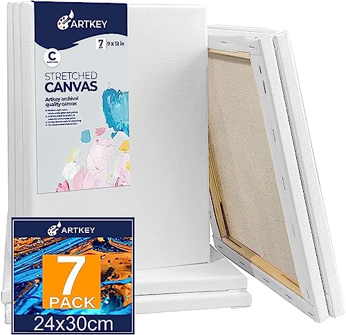 Stretched Canvases for Painting 9x12 Inch 7-Pack, 10 oz Triple Primed Acid-Free 100% Cotton Blank Canvas, Rectangular Canvas for Oil Paint Acrylics Pouring & Wet Art Media - size: 9"x12"(7-Pack), style: Studio