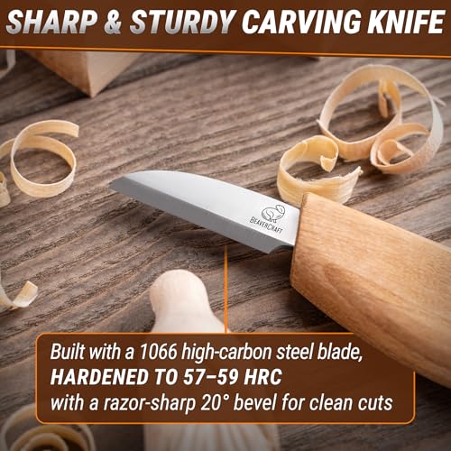BeaverCraft Whittling Kit for Beginners, Wood Carving Kit for Beginners - Wood Carving Tools Woodworking Kit for Adults and Teens - Whittling Knife Kit with Wood Blocks - Wood Carving Set DIY03 Wizard