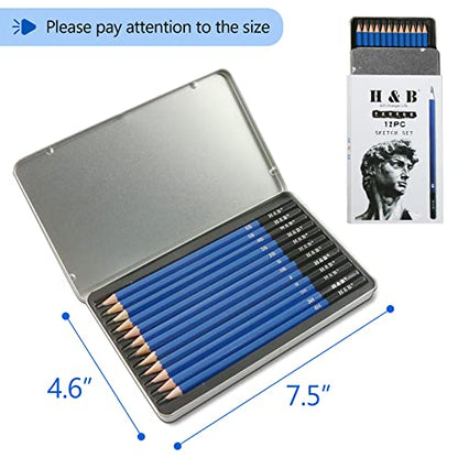 H & B 12 PCS Pencil Drawing Kit, H-4H, F, HB, B-6B Graphite and Charcoal Sketch Pencil Set for Beginners, Professional Artists - size: 12 Count (Pack of 1)