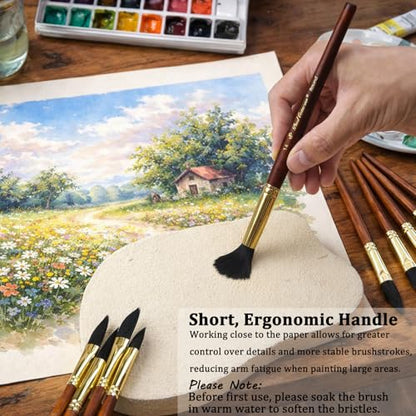 Watercolor Paint Brushes Professional, 11PCS Synthetic Squirrel Watercolor Brushes Set with Roller Case for Travel- Extended Point, Flat, Round Pointed, Cats Tongue, Dagger (11, Brown)