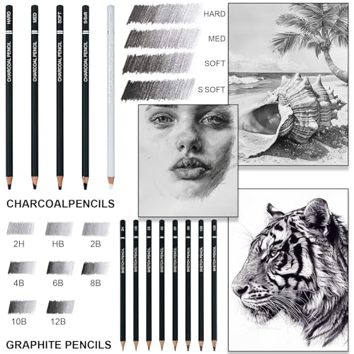 Aenir Charcoal Pencils for Drawing, 22-Piece Sketch Pencils for Drawing Set | Drawing Pencils for Sketching, Shading, Charcoal Art Supplies for Kids, Teens, Adults, Art Students, Beginners & Pro Artists.