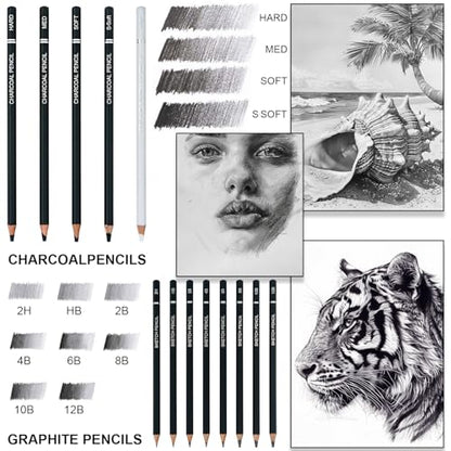 Aenir Charcoal Pencils for Drawing, 22-Piece Sketch Pencils for Drawing Set | Drawing Pencils for Sketching, Shading, Charcoal Art Supplies for Kids, Teens, Adults, Art Students, Beginners & Pro Artists.