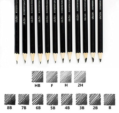 Professional Sketch pencils Drawing pencils set for Kids and Adults,Art sketching pencils for Artists Beginner(8B-2H).(12-Count) - size: 1 Count (Pack of 12)