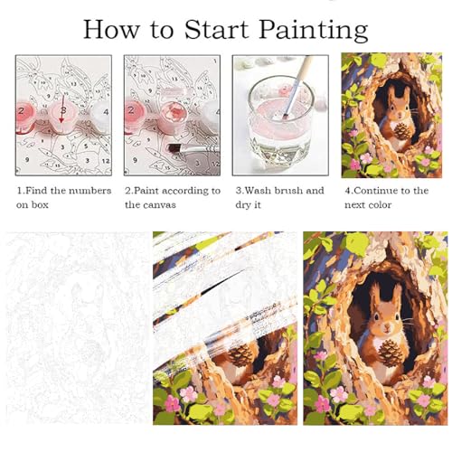 Paint by Numbers Kit for Adults Beginner Animal,Forest Squirrels,16x20" - color: 16"X20"Rolled Canvas(Frameless)-Forest Squirrels