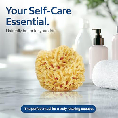 HartFelt Wool Sea Sponge Beauty Box for Delicate Skin | 2 Bath Sponges for Shower Women & Men 4 in | Natural Sponge with Mesh Bag for Cleaning & Drying | Chemical-Free Body Sponge Set - Gift Box - size: 1 Count (Pack of 2), style: Wool Sea Sponge
