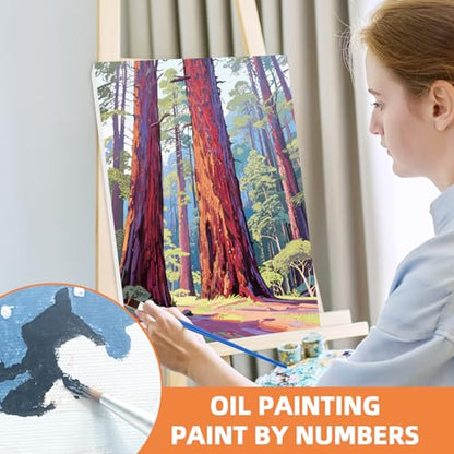 EggSun 6 Pack Framed Paint by Numbers Kit for Adults,Beginners with Wooden Easel,DIY Acrylic Oil Painting Paint by Numbers Kits on Canvas for Home Decor(National Park Landscape,8x12Inch) - style: National Park