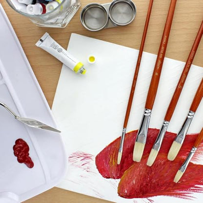 Protege Brush Set Hog Bristle Long Handle 5pc