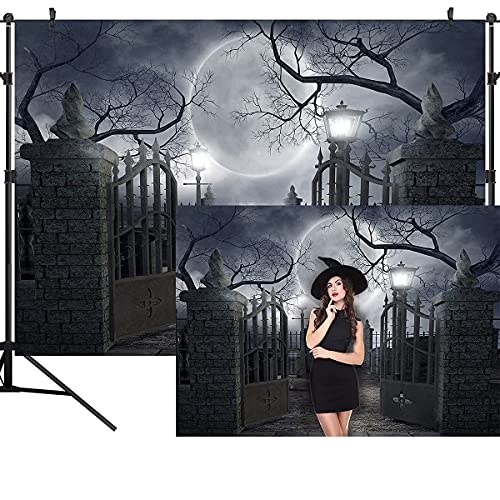 Halloween Night Full Moon Backdrop Gloomy Woods Graveyard Photography Background Horrible Cemetery Spooky Party Banner Halloween Party Decoration Photo Booth Props 10X8FT TP17H - size: 10X8FT
