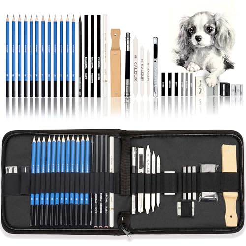KALOUR 33 Pro Drawing Kit Sketching Pencils Set,Portable Zippered Travel Case-Charcoal Pencils, Sketch Pencils, Charcoal Stick,Sharpener,Eraser.Art Supplies for Artists Beginner Adults Teens