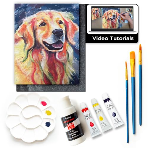 DIY Painting Class Kits for Adults with Video Tutorials, Learn to Paint Radiant Retriever, How to Paint with Acrylic Paint Sets for Adult, 9 Peices Art & Painting Supplies Gifts for Mom - color: Radiant Retriever