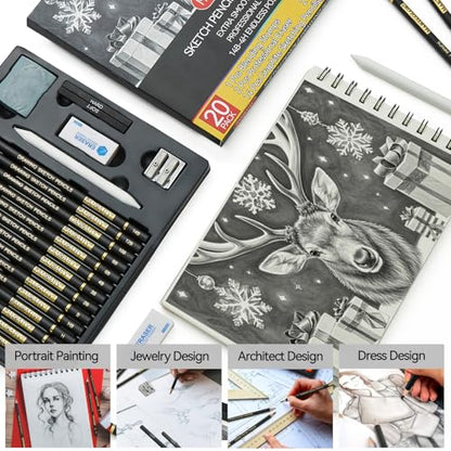 PANDAFLY Drawing Sketching Pencil Set, 20 Piece, 4H-14B Graphite Pencils | Pro Art Pencil Kit with Charcoal Sticks, Erasers, Sharpener, Blending Stump, Artist Pencils For Beginners & Pro Artists