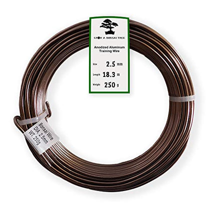 Anodized Aluminum 2.5mm Bonsai Training Wire 250g Large Roll (60 feet) - Choose Your Size and Color (2.5mm, Brown) - color: Brown, size: 2.5mm