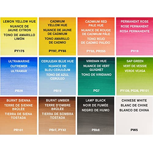 Winsor & Newton Cotman Watercolor Paint Set, 12 Half Pan Palette Pocket Set - style: 12 Half Pan Palette Pocket Set