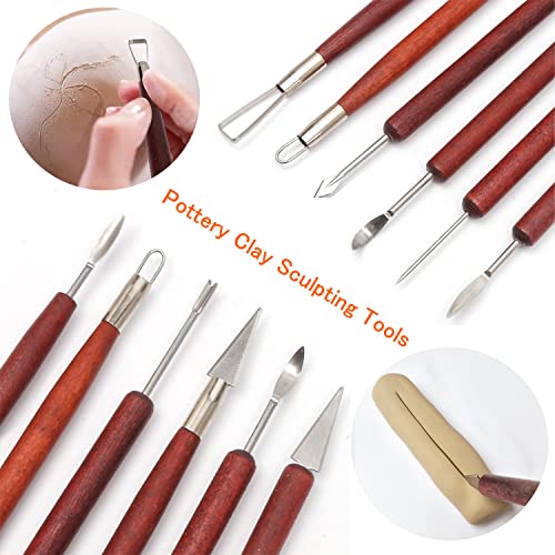 Artzuvs Clay Sculpting Tools 28pcs Polymer Pottery Modeling Tools Set for Ceramic Club Crafts,Carving,Sculpture,Shaping, Hobbyists,Artists,Expert