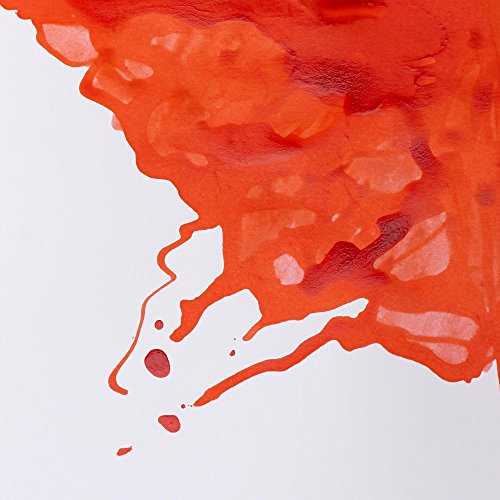Winsor & Newton Drawing Ink, 14ml Bottle, Vermilion | Fast-drying, transparent & water-resistant; Outstanding Color Brilliance; Perfect for brush, dip pen, airbrush applications. - color: Vermilion, style: 14ml Bottle