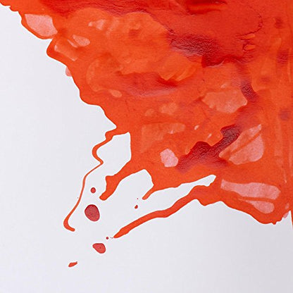 Winsor & Newton Drawing Ink, 14ml Bottle, Vermilion | Fast-drying, transparent & water-resistant; Outstanding Color Brilliance; Perfect for brush, dip pen, airbrush applications. - color: Vermilion, style: 14ml Bottle