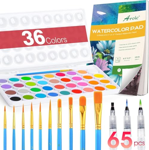 AROIC 65 Pieces Watercolor Paint Set for Adults Artists, Beginners - color: 36 watercolor paint set