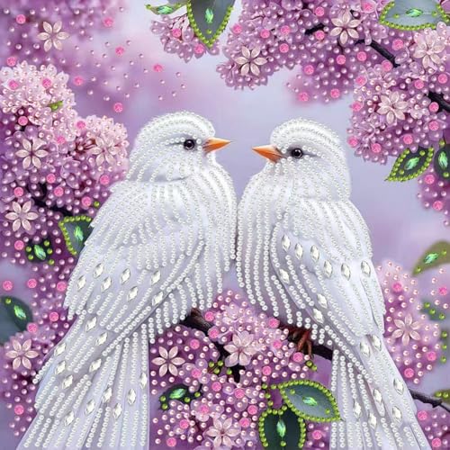 Bird Diamond Painting Kits For Adults Beginners,Diamond Dots Paintings Kits | White Bird Diamond Art Kits For Adults,DIY Special Shape Diamond Dots Arts Craft For Adults,Home Wall Decor 12 X 12inch - color: DZ917