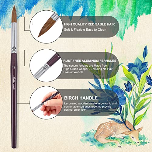 Golden Maple Professional Watercolor Brushes Set - 6PC Natural Hair Horsehair Round Point Artist Paint Brushes for Adults Watercolor Acrylic Ink Gouache Painting Supplies