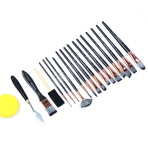 Transon 20Pcs Art Paint Brush Kit with Storage Case, 16 Brushes + Foam Brush Spatula Sponge for Acrylic Oil Watercolor Gouache, Adults Teens Beginners Art Supplies - color: Black