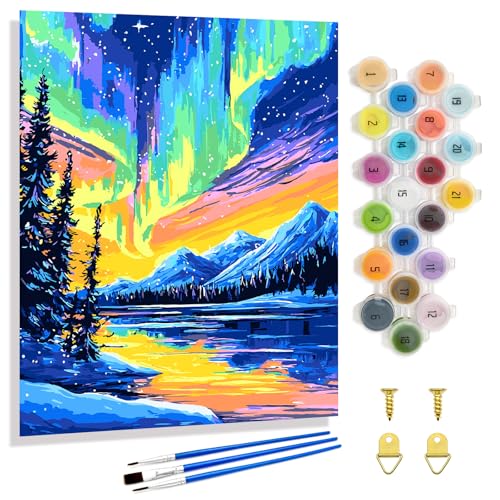 Yunnuo Northern Lights Paint by Numbers Kit for Adults Beginner, Landscape Aurora Scenery Number Painting with Brush and Acrylic Paint for Gift and Home Wall Decor 16x20 Inch - color: B-007-Aurora